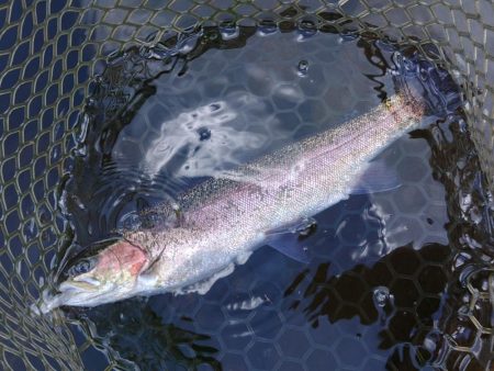 真夏の平谷は難しい ～平谷湖フィッシングスポット～